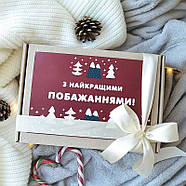 Новорічний подарунковий набір «Новорічний настрій №1», фото 5