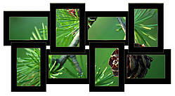 Дерев'яна мультирамка на 8 фото Історія 8, чорна