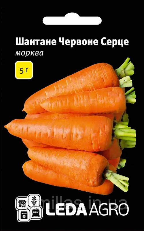 Насіння моркви Шантане Червоне Серце, 5 гр., ТМ "Лєда Агро", фото 1