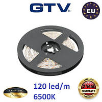 5 метрів, Світлодіодна стрічка GTV Premium 12V, SMD 2835, 120 led/m, 19W, 1600Lm, 10мм, IP20, 6500K Білий холодний колір світла