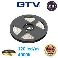 5 метрів, Світлодіодна стрічка GTV Premium 12V, SMD 2835, 120 led/m, 19W, 1600Lm, 10мм, IP20, 4000K Білий нейтральний колір світла