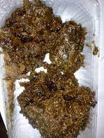 Соняшниковий віск для виготовлення окопних та звичайних свічок