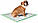 Пелюшки Дейзі Croci з ароматом ромашки для собак 57*54 см, 30шт/уп., фото 2