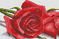 Алмазная вышивка ColorArt Розы (CLR-DT703) 20 х 30 см (Без подрамника)