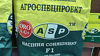 Насіння соняшника ЛЕЙЛА, Високоурожайне, 52-53% Олії, стійке проти вовчка А-F. Екстра, фото 3