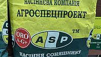 Соняшник самуела стійкий до заразихи A-G+. Урожайний гібрид Самуела 49ц/га. Насіння соняшника Самуела, фото 4