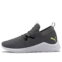 Мужские Кроссовки Puma Emergence Mesh Men's Training Sneakers