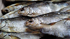 Плотва з лускою, 90-150гр