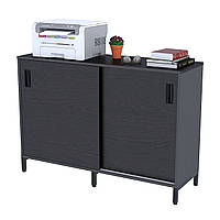 Тумба офісна LS-1200-830 ніжки метал чорний матовий корпус і фасад ДСП (Loft DesignTM)