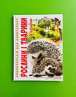 Енциклопедія для допитливих. Рослини і тварини України. Станкевич Т.А. Талант