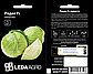 Радан F1 15 шт Leda Agro Капуста білокачанна Насіння (Радан F1 Капуста білокачанна Насіння), фото 2