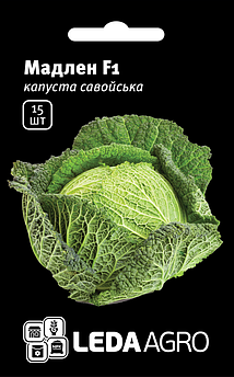Насіння Капусти Мадлена F1 15 шт (Leda Agro), середньостиглий гібрид добре адаптується до різних умов