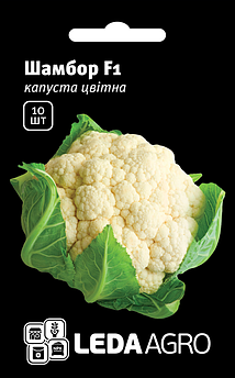 Насіння Капусти цвітної Шамборд F1 10 шт (Leda Agro), середньостиглий гібрид стійкий до високих температур