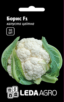 Насіння Капусти цвітної Борис F1, 10 шт (Leda Agro), середньоранній гібрид добре переносить зміни погодних умов