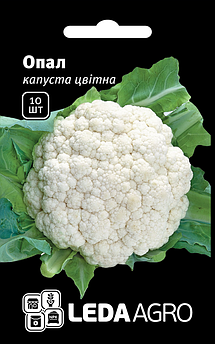 Насіння Капусти цвітної Опал 10 шт (Leda Agro), ранній сорт для відкритого ґрунту та теплиць