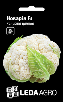 Насіння Капусти цвітної Новарія F1 10 шт (Leda Agro), середньостиглий гібрид, висока продуктивність навіть за поганих умов