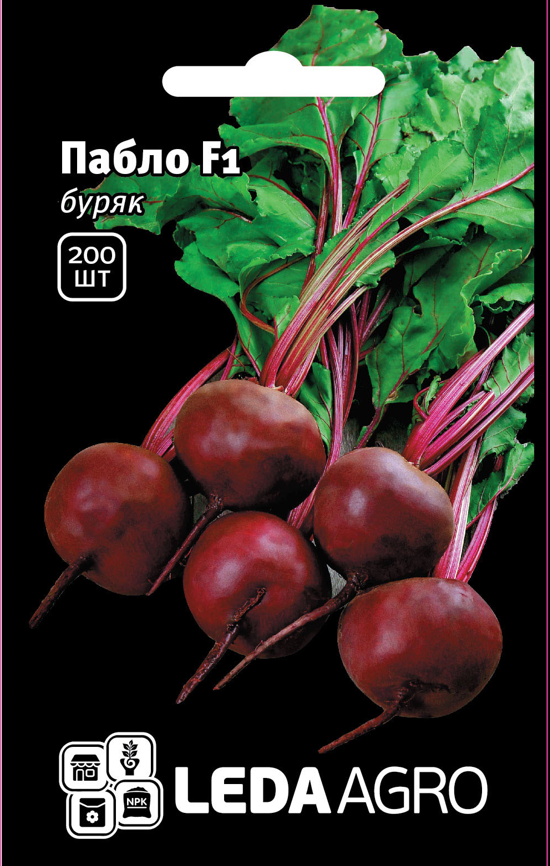 Насіння Буряк Пабло F1 200 шт (Leda Agro), середньостиглий гібрид стійкий до гниття та хвороб, фото 1