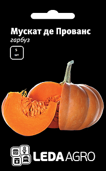 Насіння Гарбуза Мускат де Прованс 5 шт (Leda Agro), середньостиглий сорт для всіх кліматичних зон України