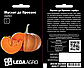 Насіння Гарбуза Мускат де Прованс 5 шт (Leda Agro), середньостиглий сорт для всіх кліматичних зон України, фото 2