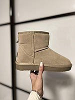 Теплі жіночі УГГі на зиму. Класні не високі уггі UGG жіночі., фото 4