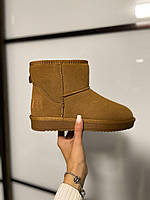 Теплая зимняя женская обувь Угги Ugg. Повседневные угги для девушек UGG ЗИМА.