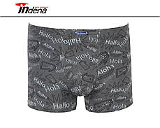 Труси на Хлопчика Боксери Стрейчеві Марка "INDENA" АРТ.21202, фото 4