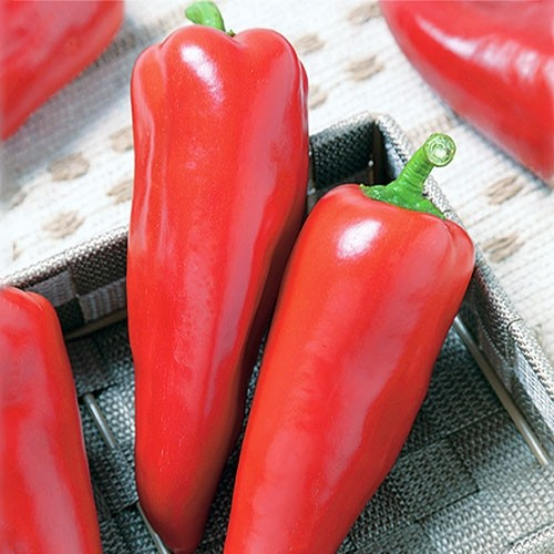 Насіння Перець Солодкий Маринкин язичок 15 н (від колекціонера)