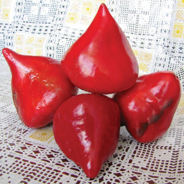 Насіння Перець Солодкий Леся 15 шт (від колекціонера), фото 1