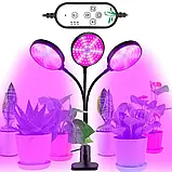 Фітолампа повного спектра для домашніх рослин, на підвіконня, стіл, з таймером, живлення USB — на 1 секцію, фото 7