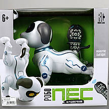 RC 0004 Робопіс собака на радіокеруванні, сенсор, акумулятор, танцює, музика, світло, коробка 29-27-17,5 см, фото 3