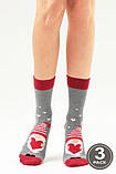 Шкарпетки жіночі бавовняні 36-40 LEGS SOCKS (3 пари), фото 4