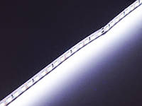 Светодиодная LED лента гибкая 12V PROLUM IP20 2835\120 Series "PRO" 320114, фото 6