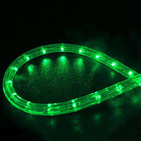 Світний шланг 10 (10 м) гірлянда силіконова 4885