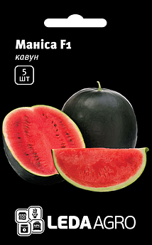 Насіння Кавуну Маніса F1, кавун тип Шуга Бейбі, 5 шт (Leda Agro), ультраранній гібрид стійкий до хвороб