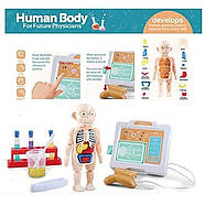 Ігровий набір доктора Людське тіло (20 елементів, на батарейках, екран зі світлом та звуком) H 326 A, фото 3