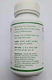 Тріфала Гуггул 80таб. 375мг Очищення, Оздоровлення, Лімфа Triphala Guggulu (Baidyanath). Індія. Термін до 03/2029, фото 2
