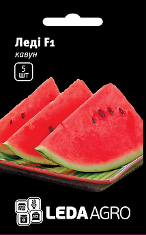 Насіння Кавуну Леді F1 5 шт (Leda Agro), ультраранній гібрид добре адаптується до різних умов