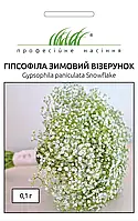 Семена цветов Гипсофила (лещица) махровая Зимний узор белая, 0,1 г, годен до 11.2023, УЦЕНКА