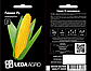 Кукурудза Гюнес F1 20 шт (Leda Agro), фото 2