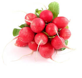 Редис Редька
