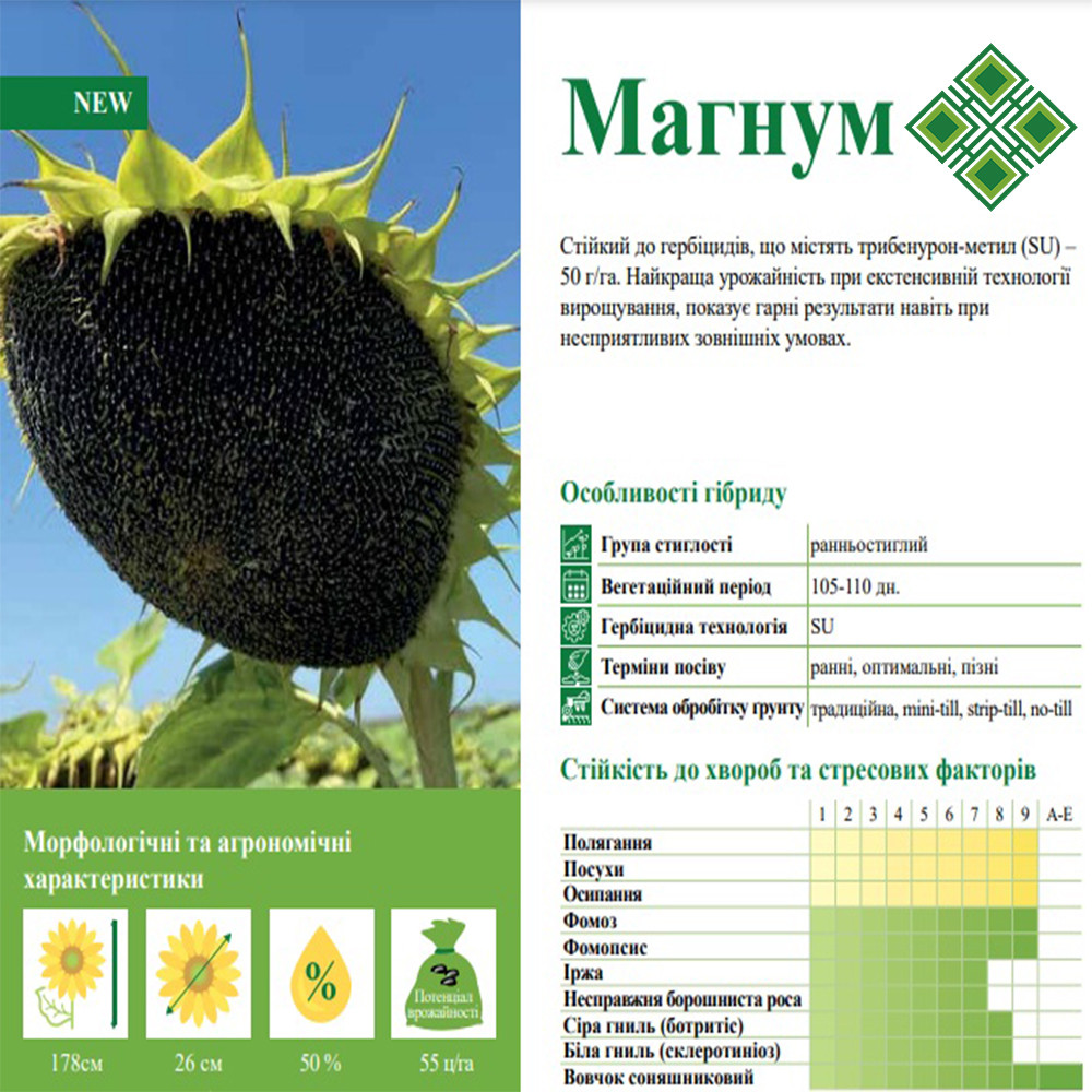 МАГНУМ, фото 1