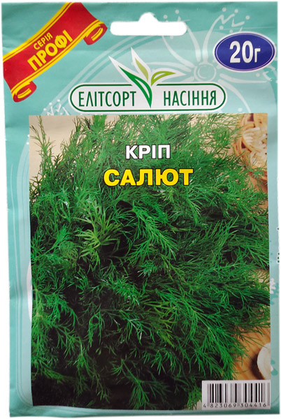 Насіння кропу Салют 20 г пізньостиглий, фото 1