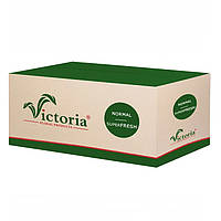 Флористичний оазис (піна) Victoria Normal Superfresh, коробка 20 шт