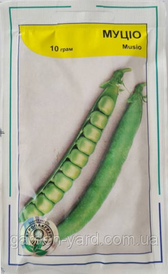 Насіння горох овочевий Муціо 10г. Syngenta Голландія