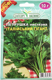 Насіння петрушки Італійський гігант 10 г середньостигла