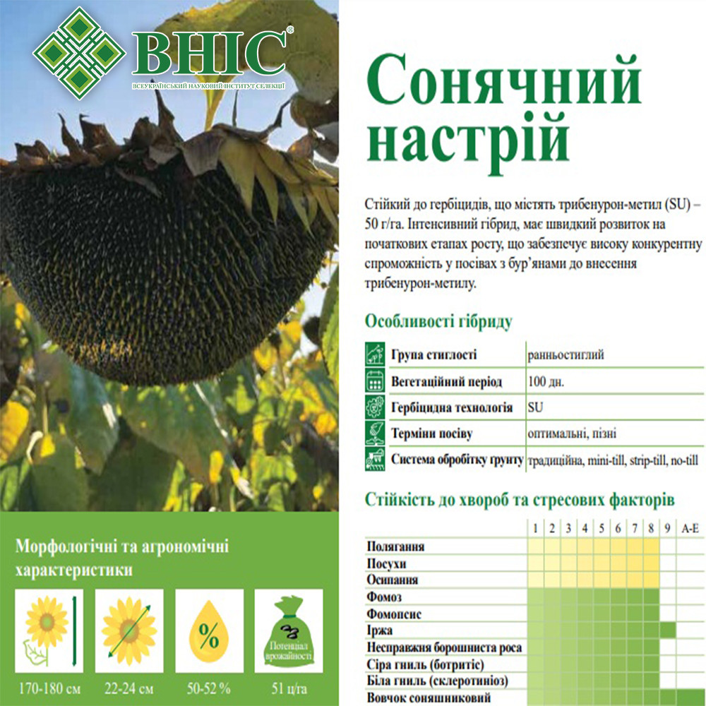 СОНЯЧНИЙ НАСТРІЙ, фото 1