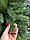Ялинка Буковельська зелена, фото 8