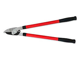 Гілкорізи, сучкорізи та ножиці