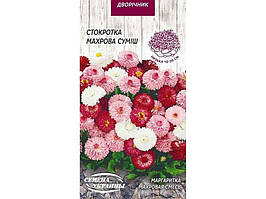 Квіти дворічні