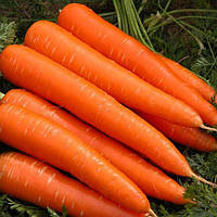 Морковь Нантская 20 г Фасованное